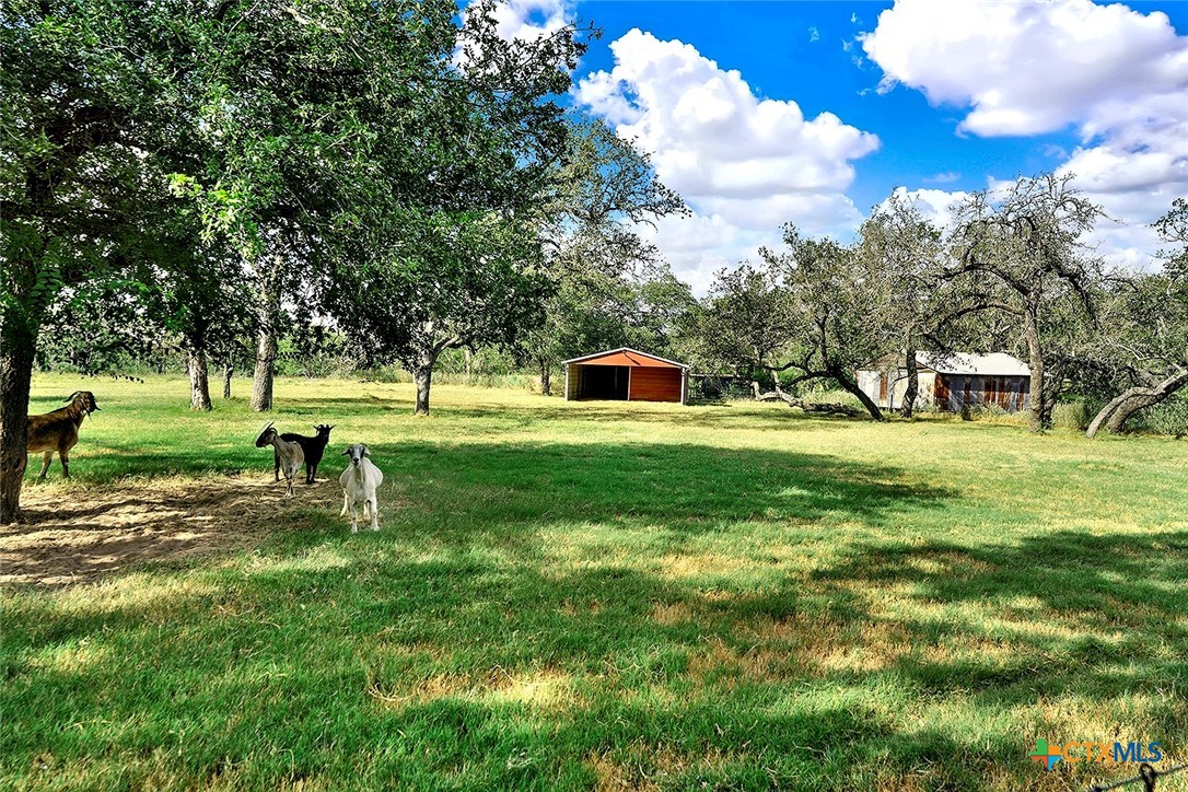 1021 Fm 3432 Property Photo 17