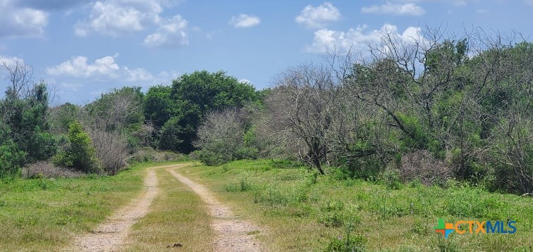 2224 Levee Road Property Photo 5