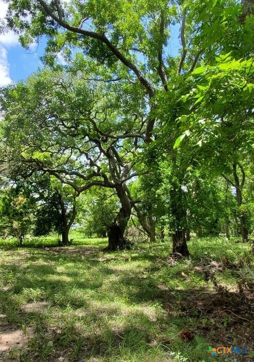 2224 Levee Road Property Photo 17