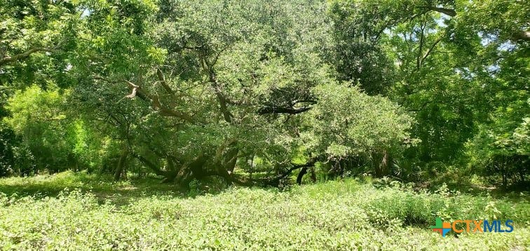 2224 Levee Road Property Photo 24