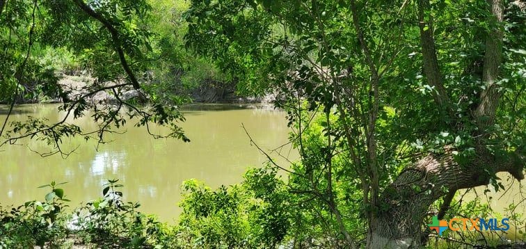 2224 Levee Road Property Photo 25