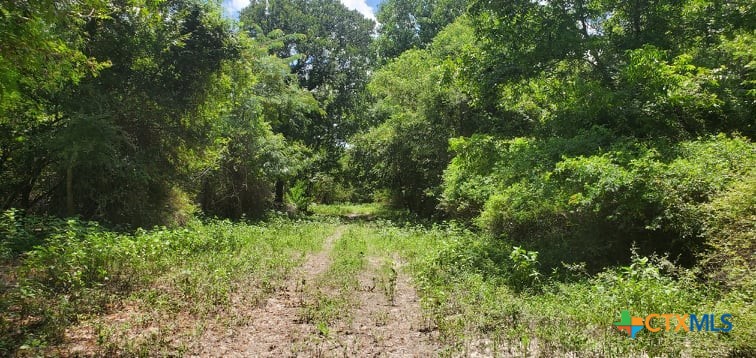 2224 Levee Road Property Photo 26