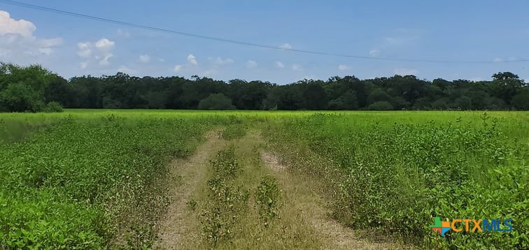2224 Levee Road Property Photo 27