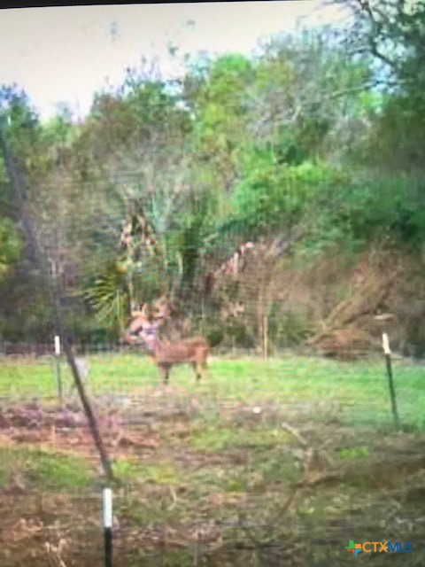 2224 Levee Road Property Photo 44