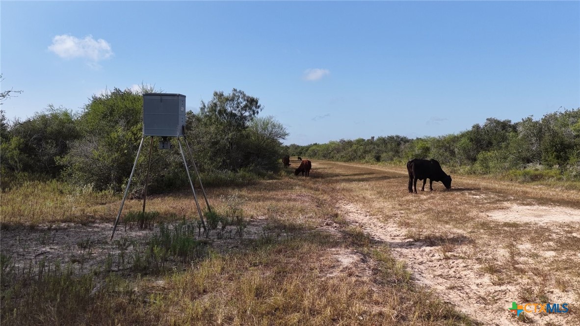 251 Old Goliad Road Property Photo 2