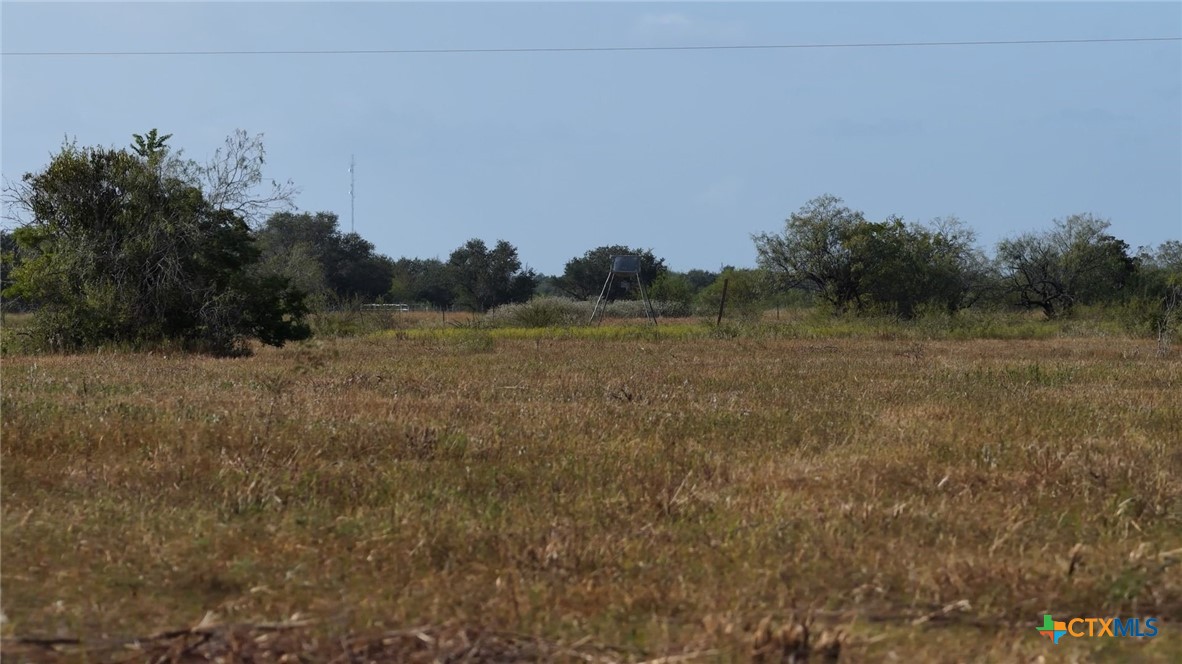 251 Old Goliad Road Property Photo 4