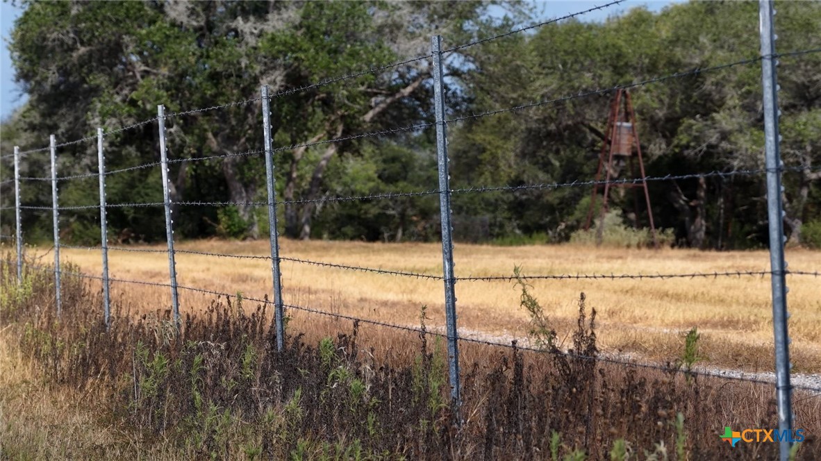 251 Old Goliad Road Property Photo 6