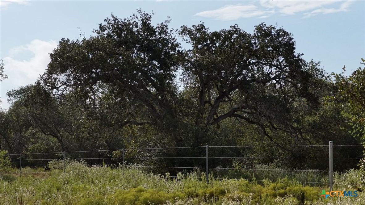 251 Old Goliad Road Property Photo 7