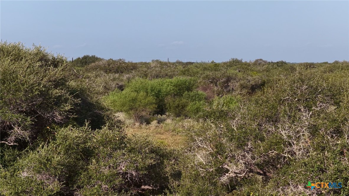 251 Old Goliad Road Property Photo 8