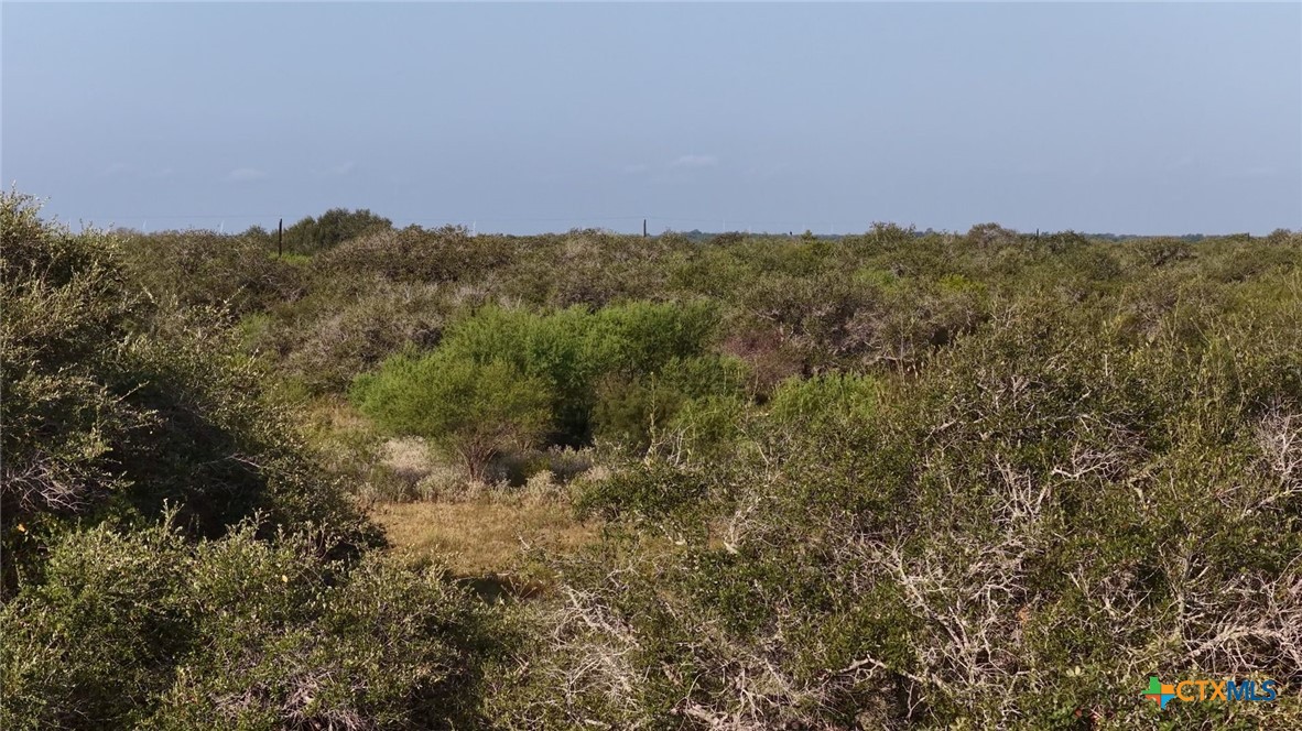 251 Old Goliad Road Property Photo 9