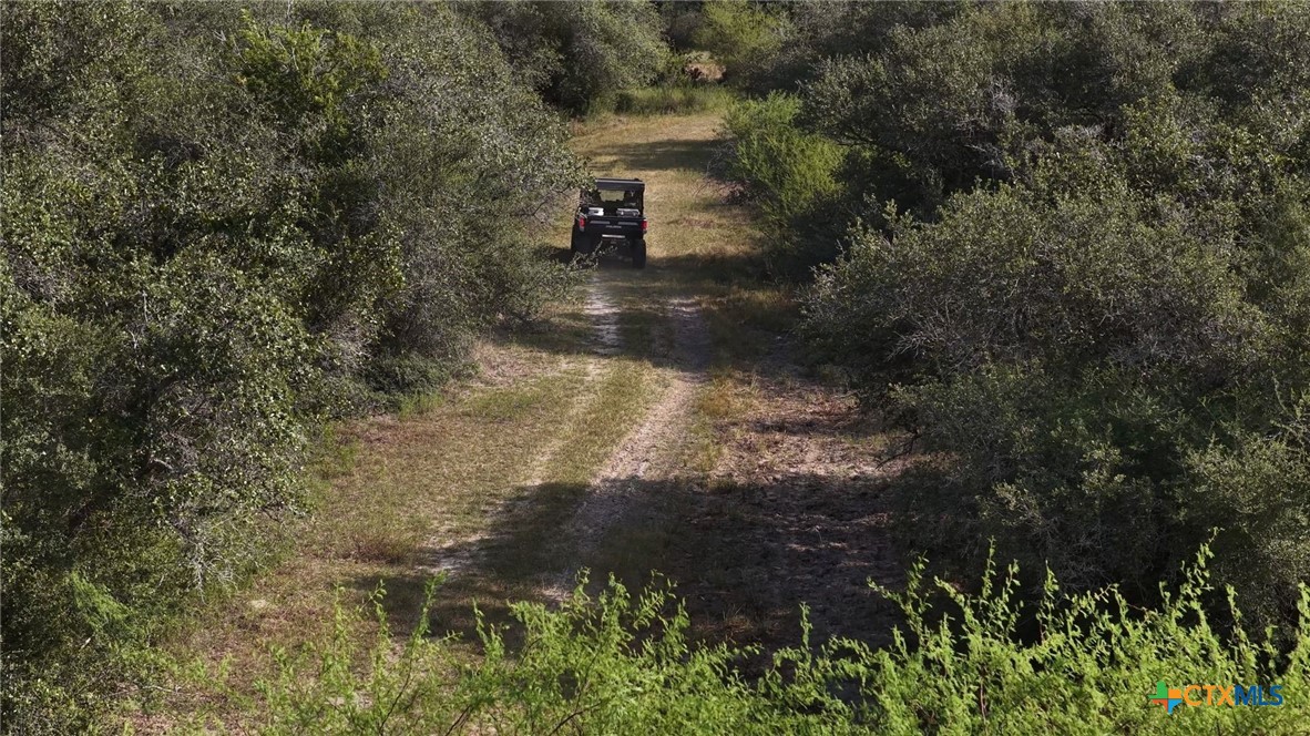 251 Old Goliad Road Property Photo 12
