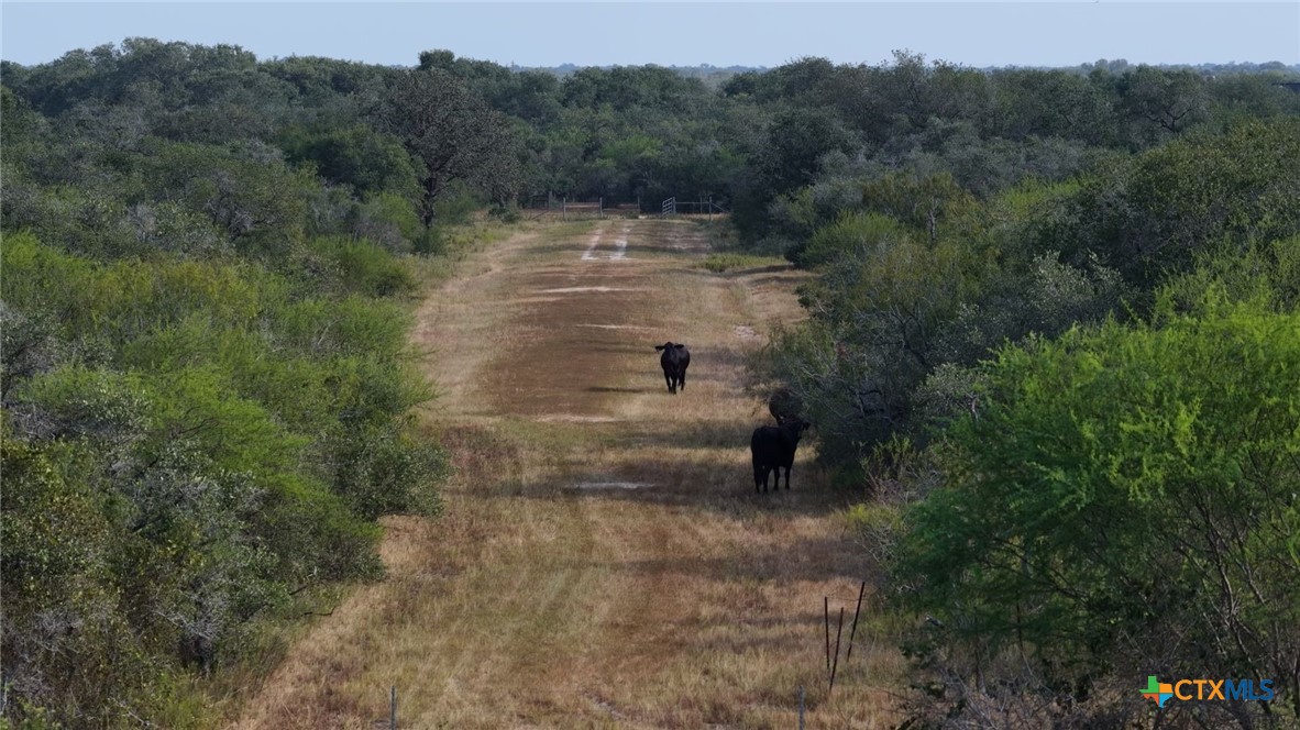 251 Old Goliad Road Property Photo 13