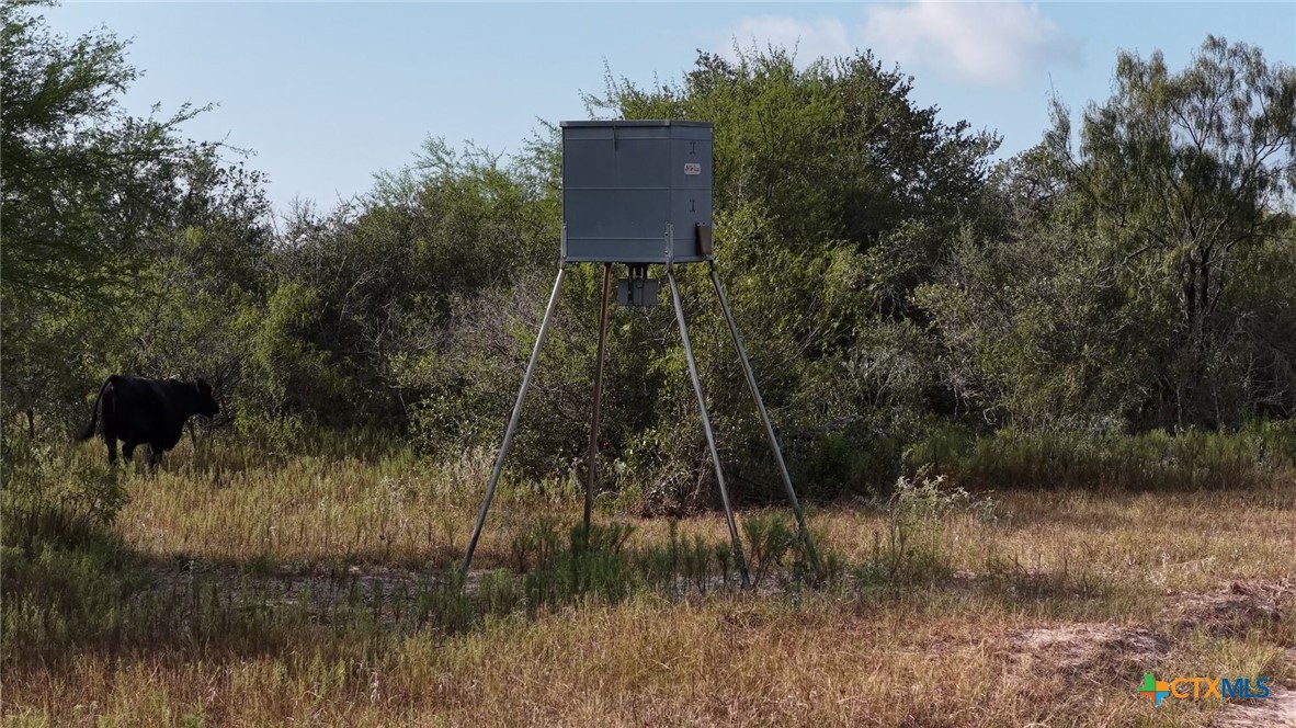 251 Old Goliad Road Property Photo 16