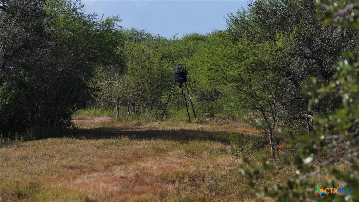 251 Old Goliad Road Property Photo 17