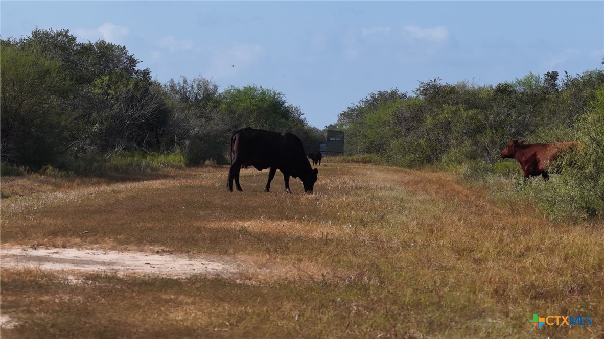 251 Old Goliad Road Property Photo 18