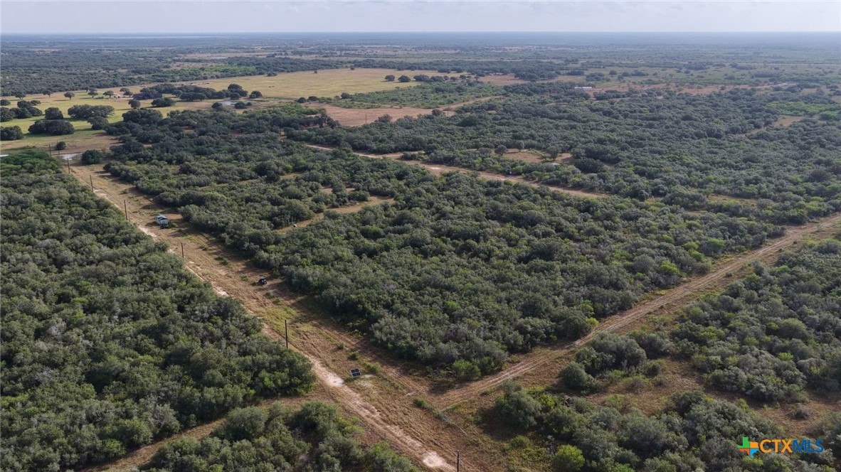 251 Old Goliad Road Property Photo 22