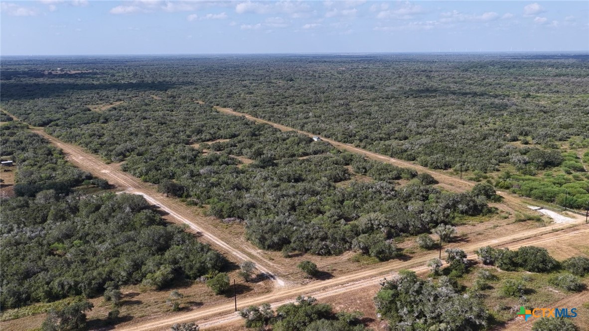 251 Old Goliad Road Property Photo 23