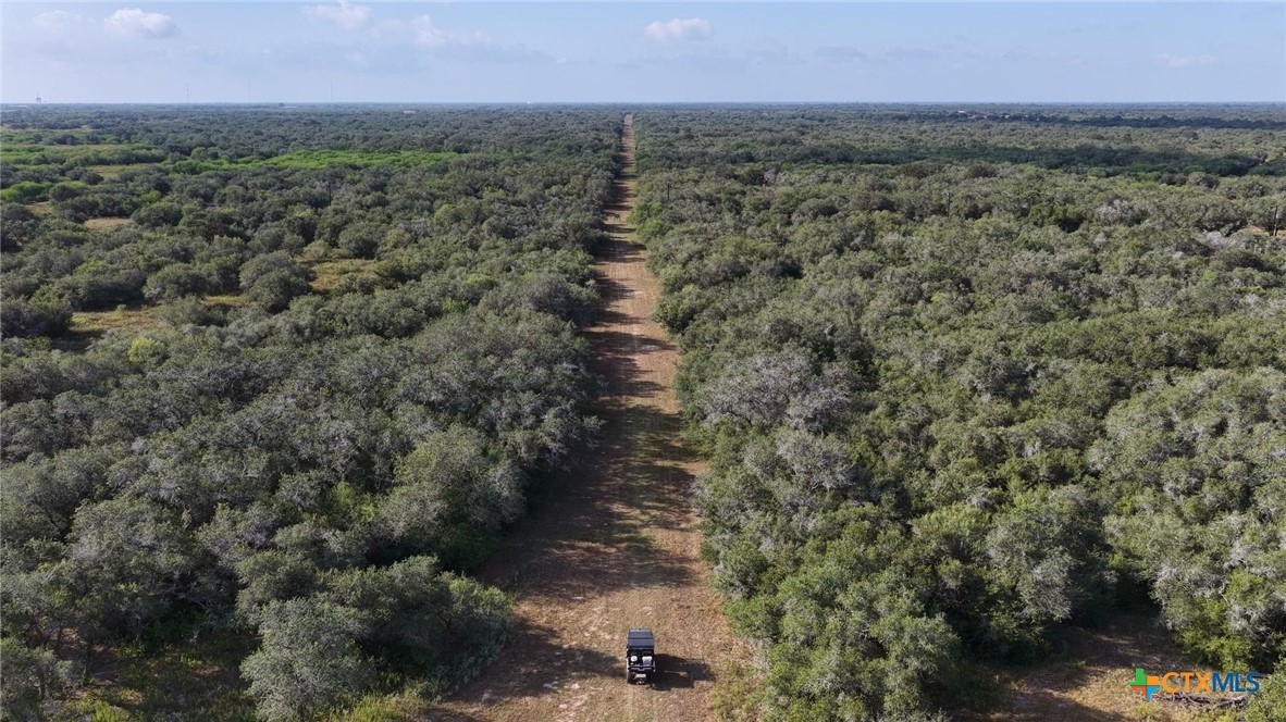 251 Old Goliad Road Property Photo 27