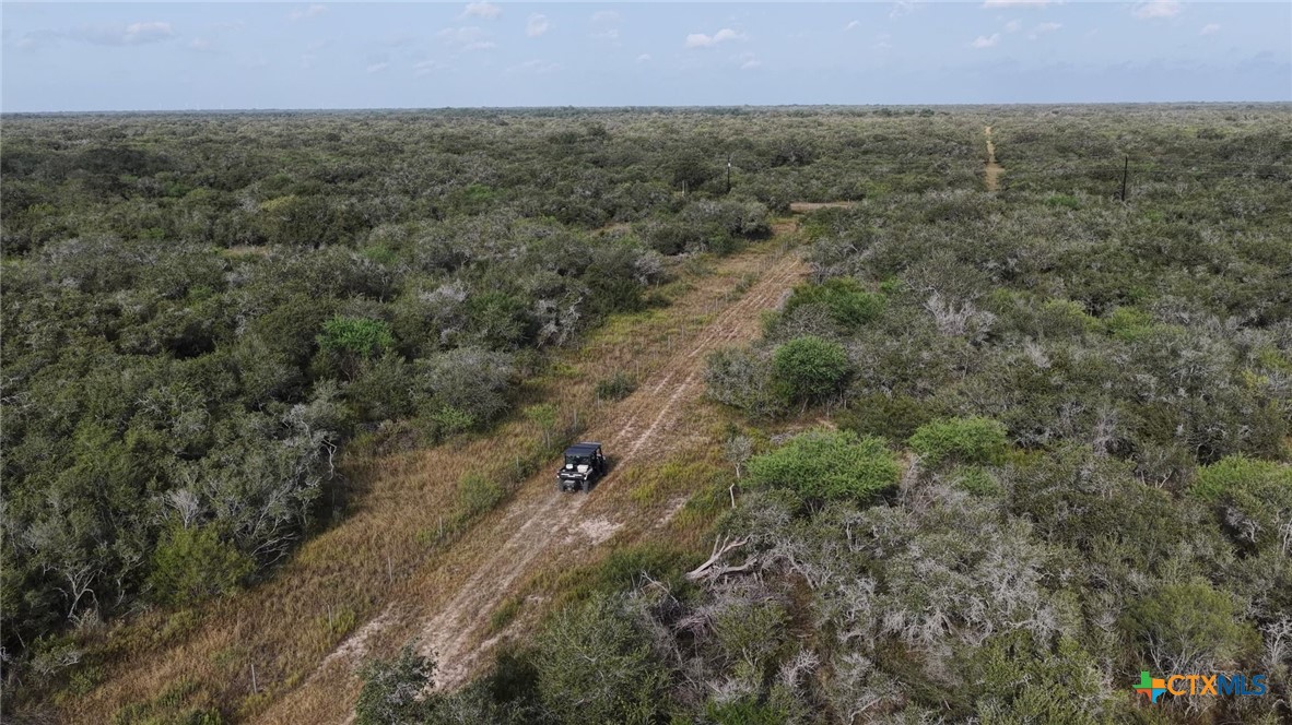 251 Old Goliad Road Property Photo 28