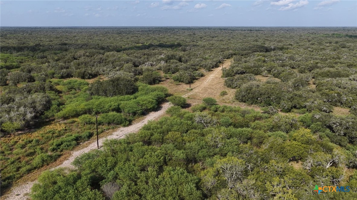 251 Old Goliad Road Property Photo 29