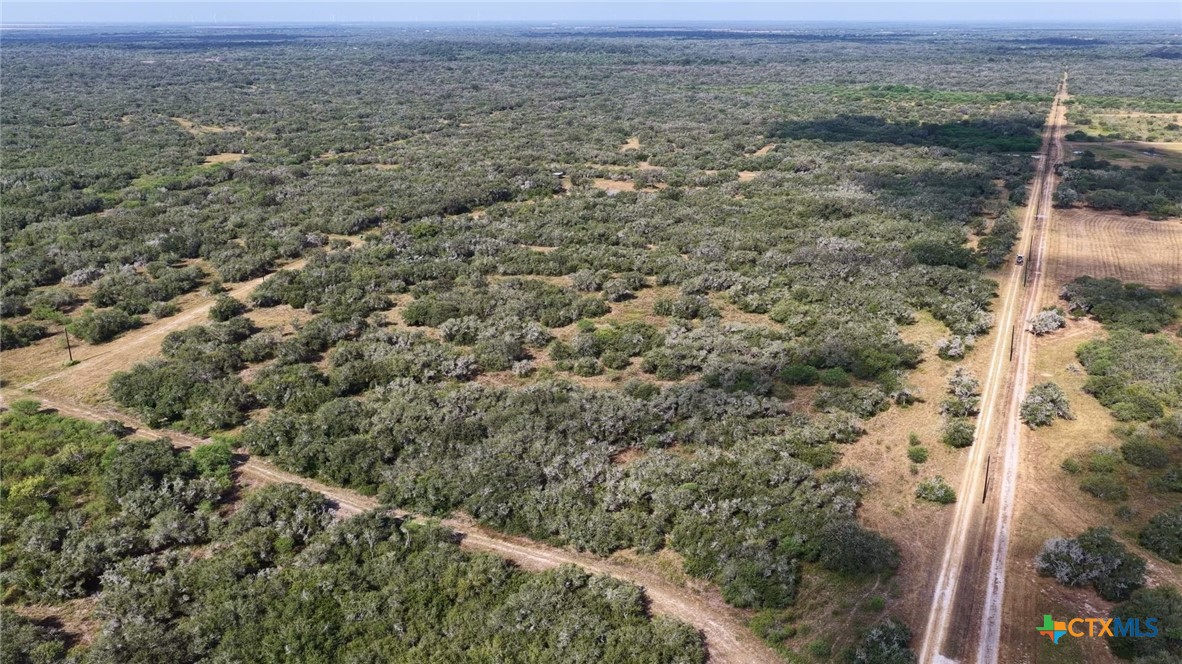 251 Old Goliad Road Property Photo 30