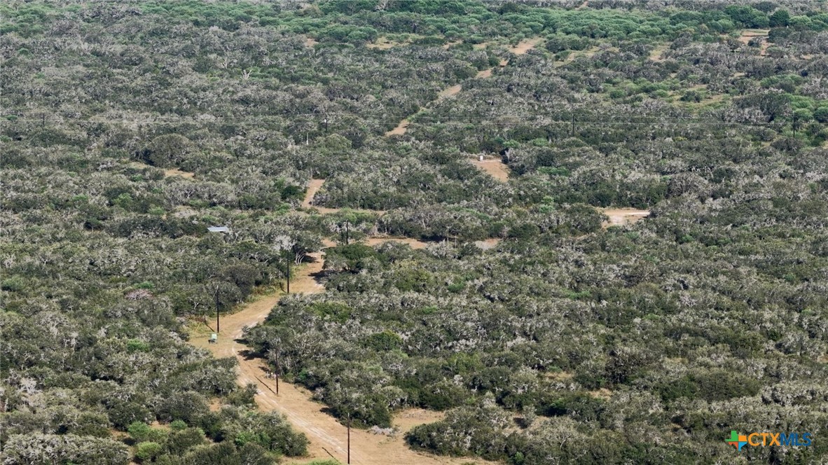 251 Old Goliad Road Property Photo 31
