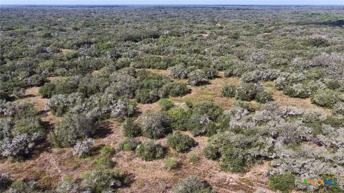 251 Old Goliad Road Property Photo 32