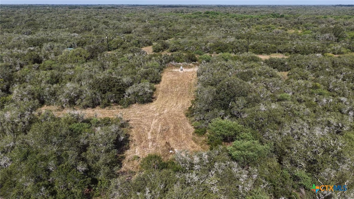251 Old Goliad Road Property Photo 33