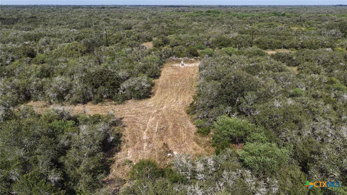 251 Old Goliad Road Property Photo 34