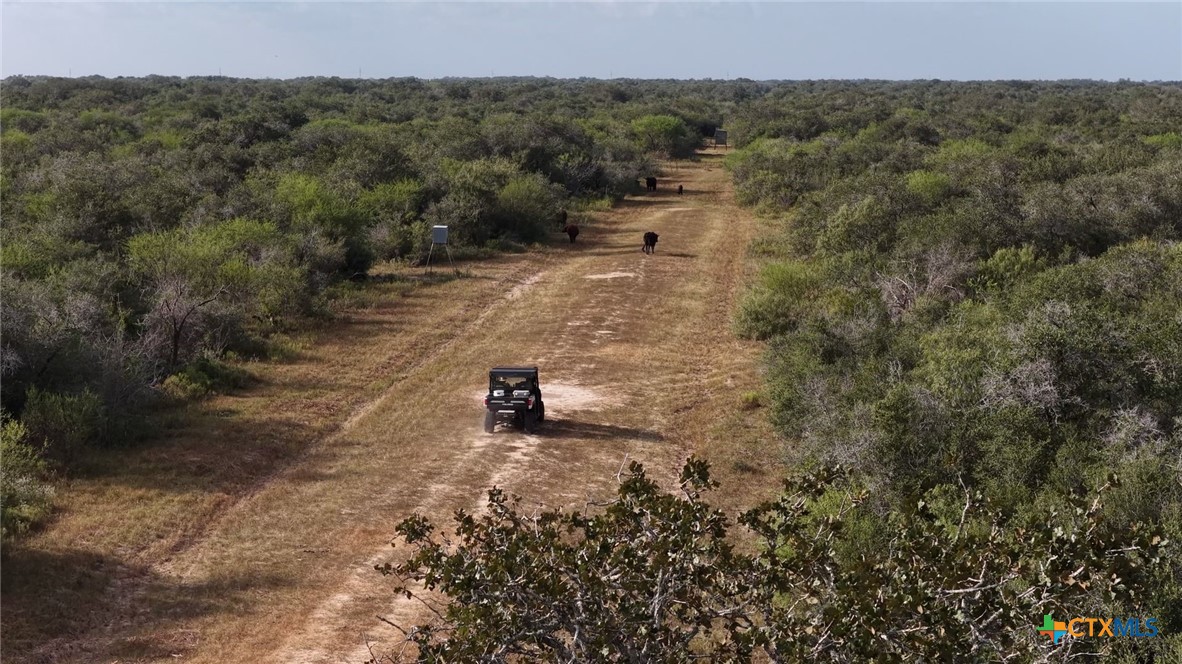 251 Old Goliad Road Property Photo 35