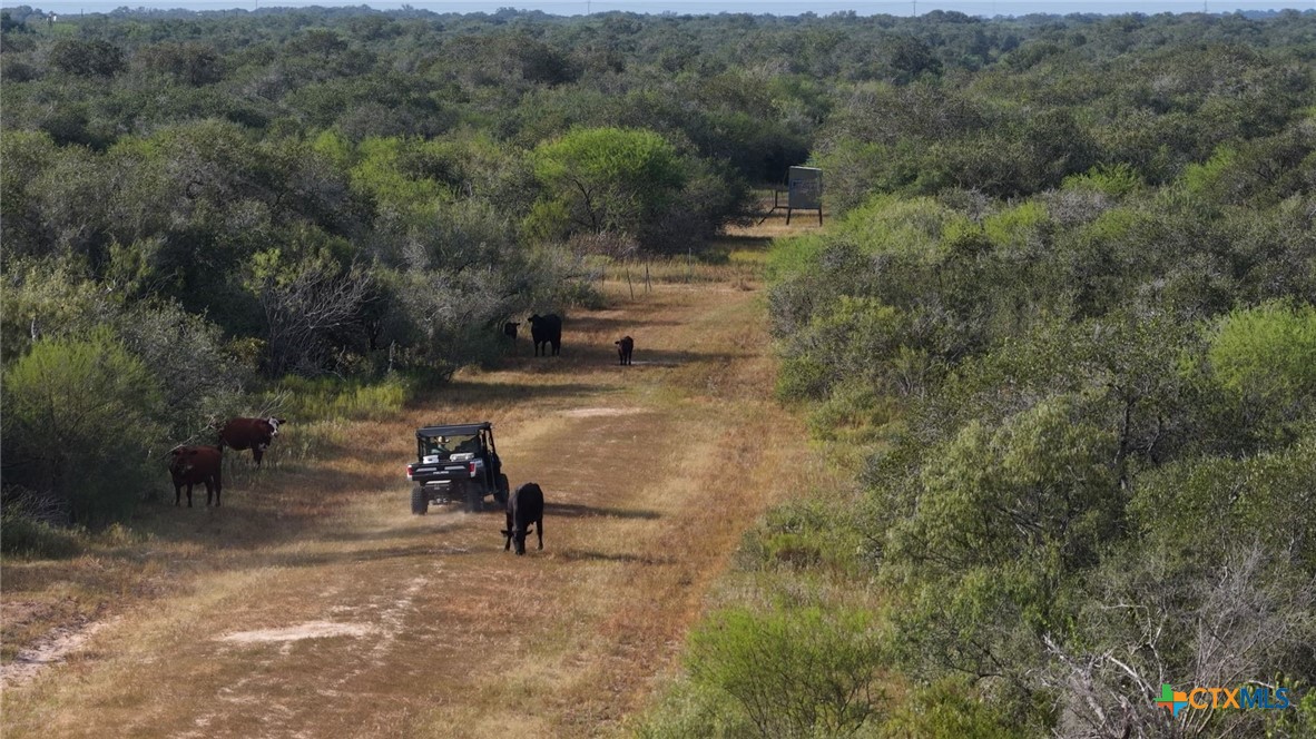 251 Old Goliad Road Property Photo 37