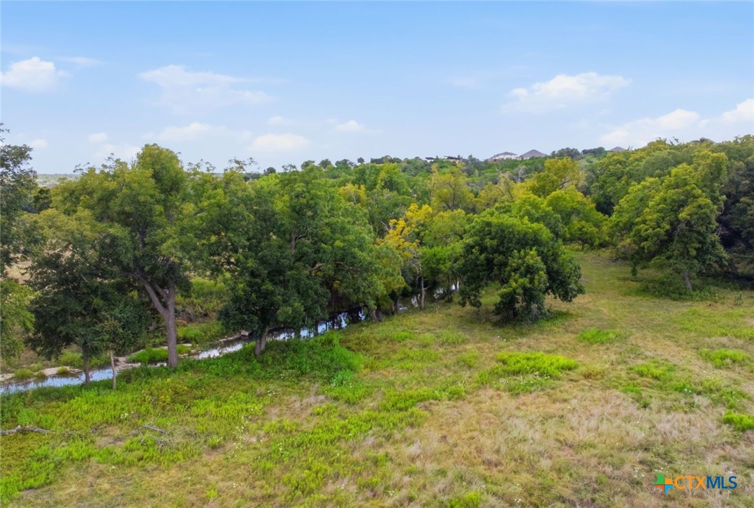14440 Nutty Brown Road Property Photo 3