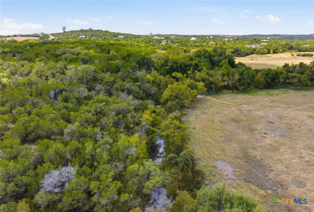 14440 Nutty Brown Road Property Photo 4