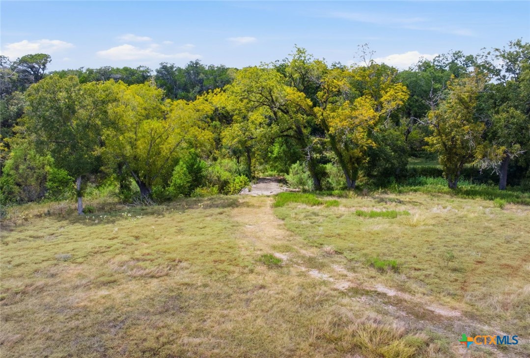 14440 Nutty Brown Road Property Photo 14