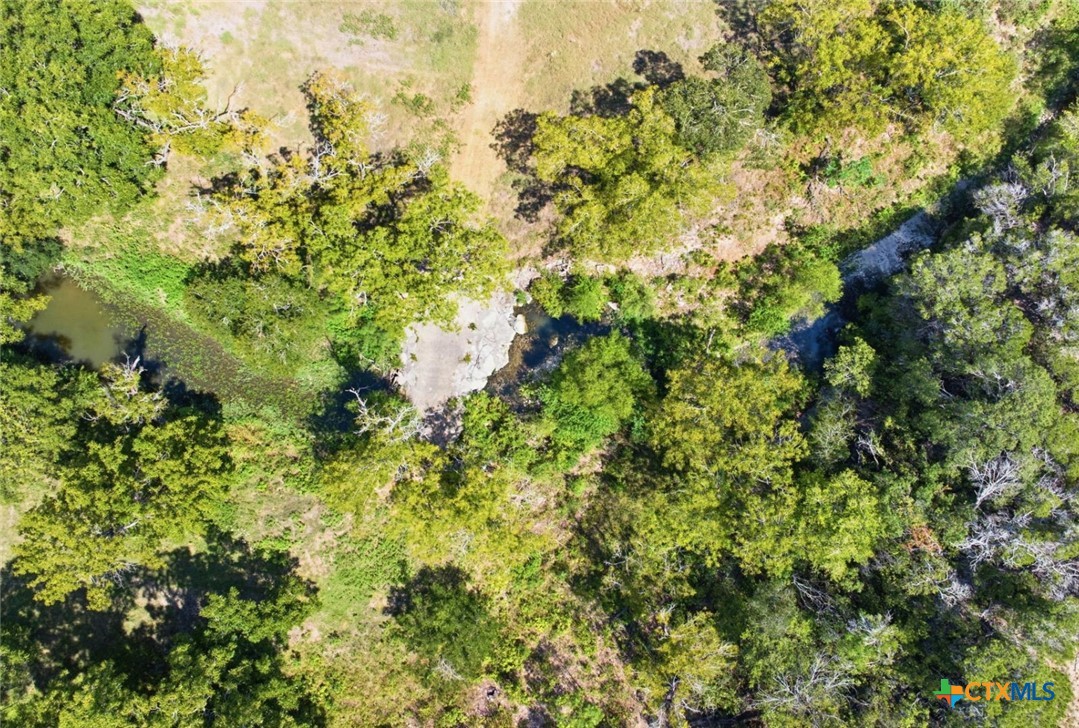 14440 Nutty Brown Road Property Photo 15