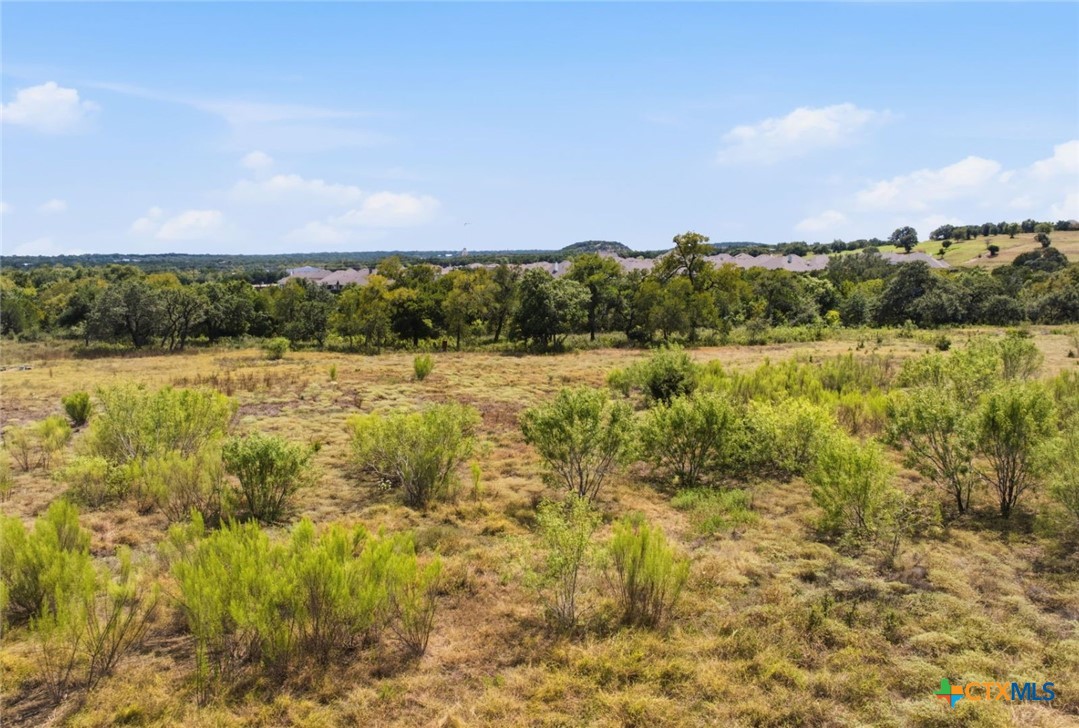 14440 Nutty Brown Road Property Photo 16