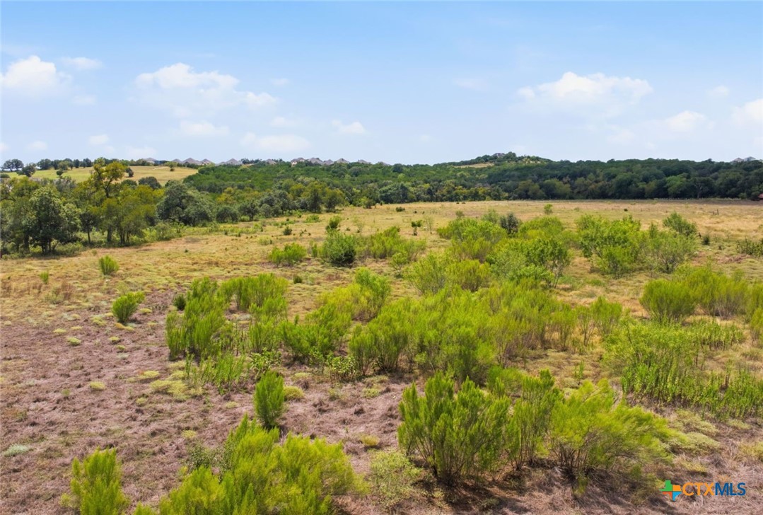 14440 Nutty Brown Road Property Photo 17