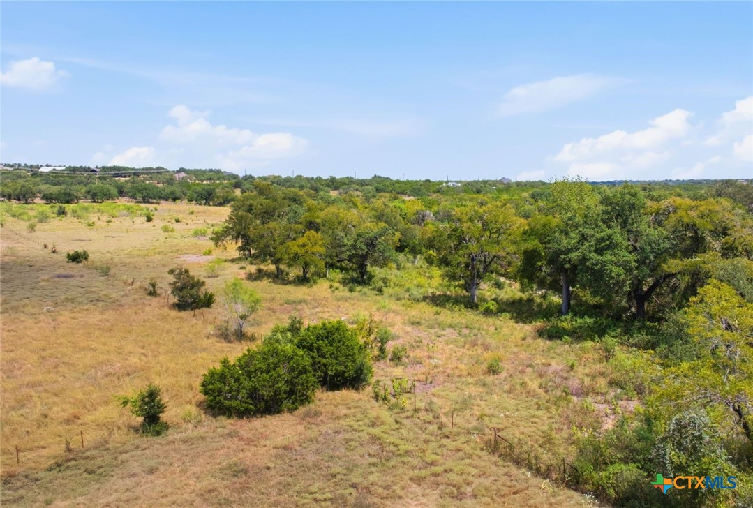 14440 Nutty Brown Road Property Photo 18