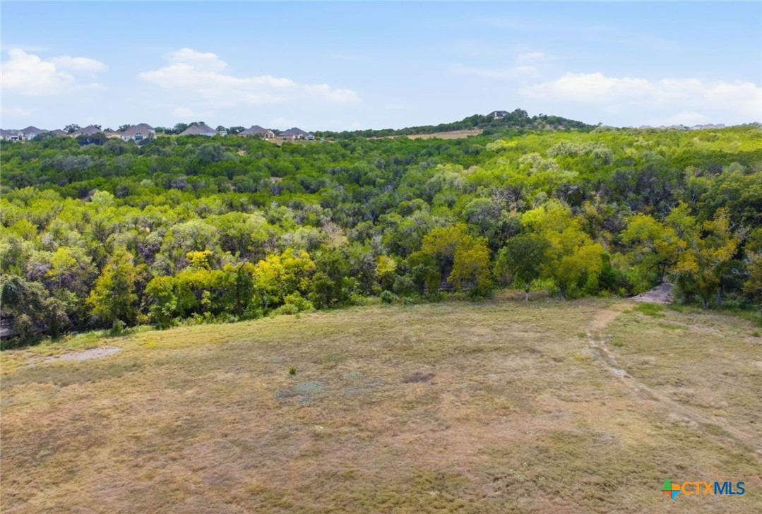 14440 Nutty Brown Road Property Photo 19