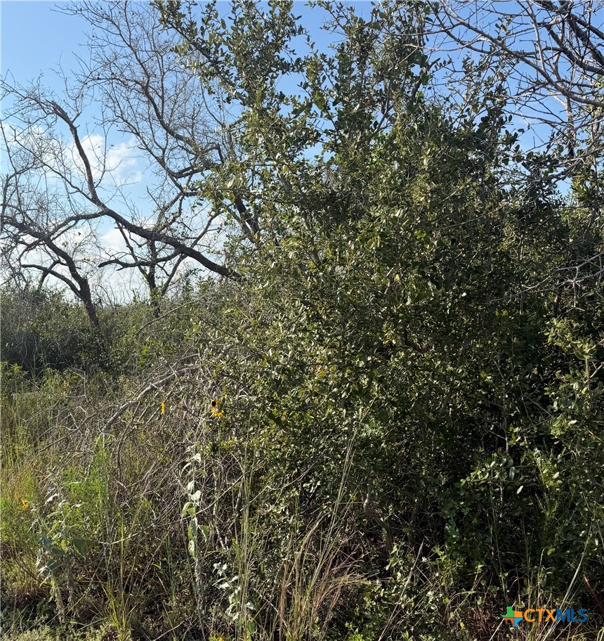 Tbd N 10th Property Photo 10