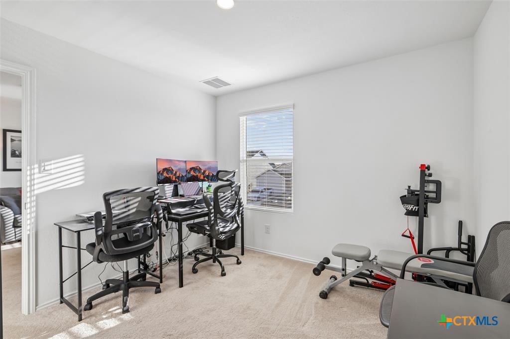 116 Painted Night Road Property Photo 22