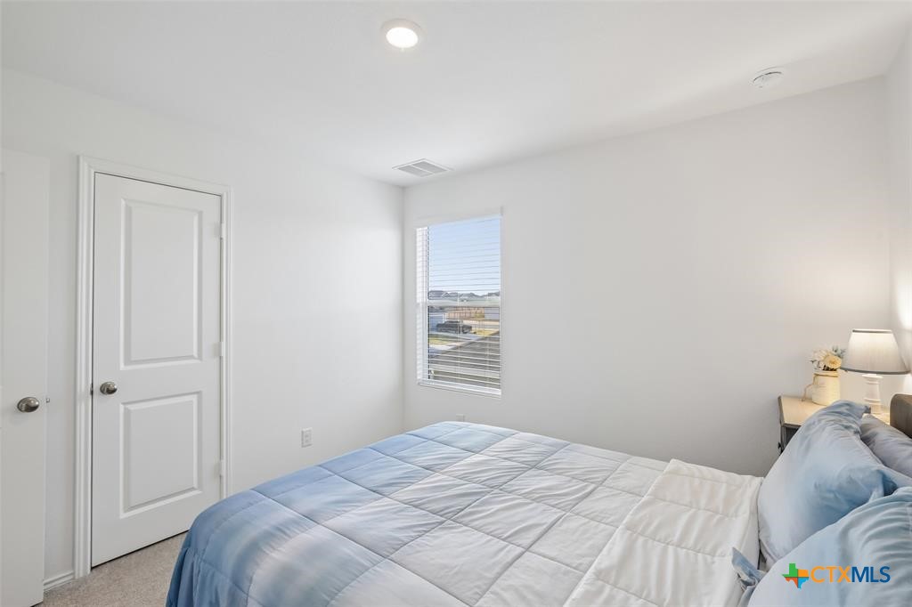 116 Painted Night Road Property Photo 25