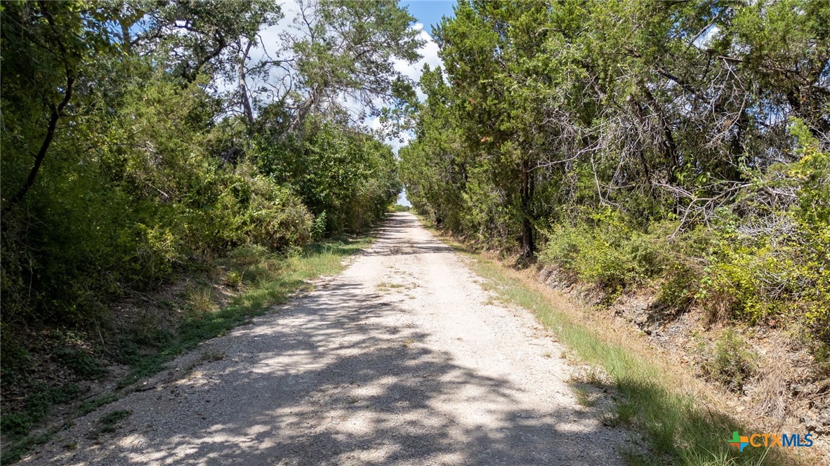 930 County Road 200 Property Photo 4