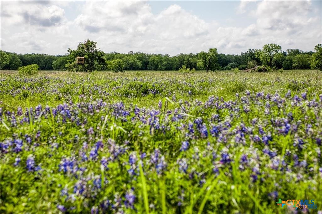 0000 Vilas Rd Property Photo 16