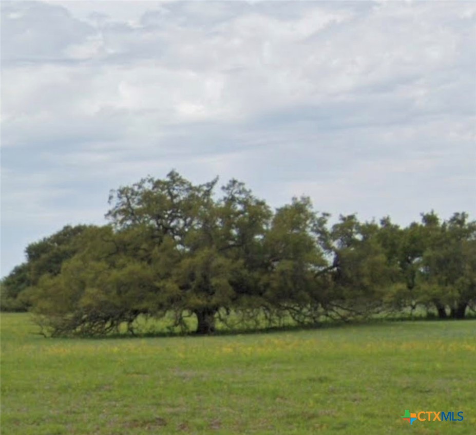 Tbd State Highway 123 S Property Photo 2