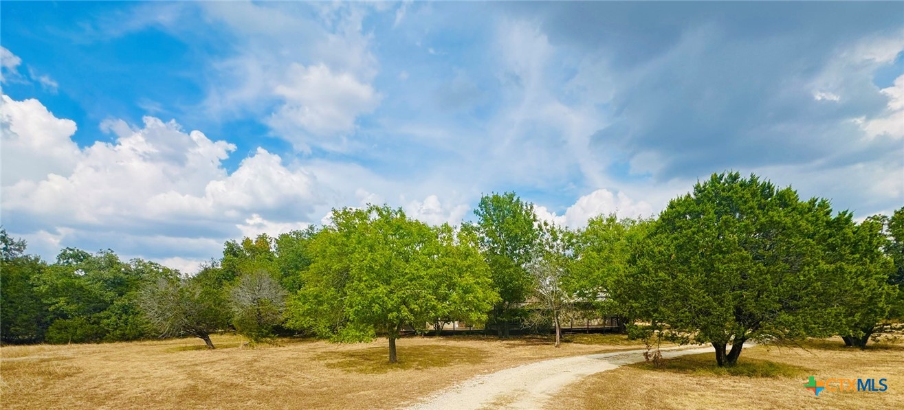 823 Mountain Road Property Photo 31