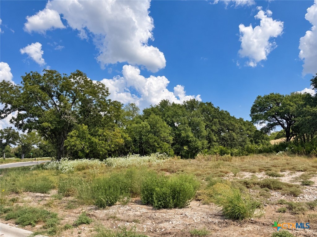 209 Lorhan Falls Property Photo 2