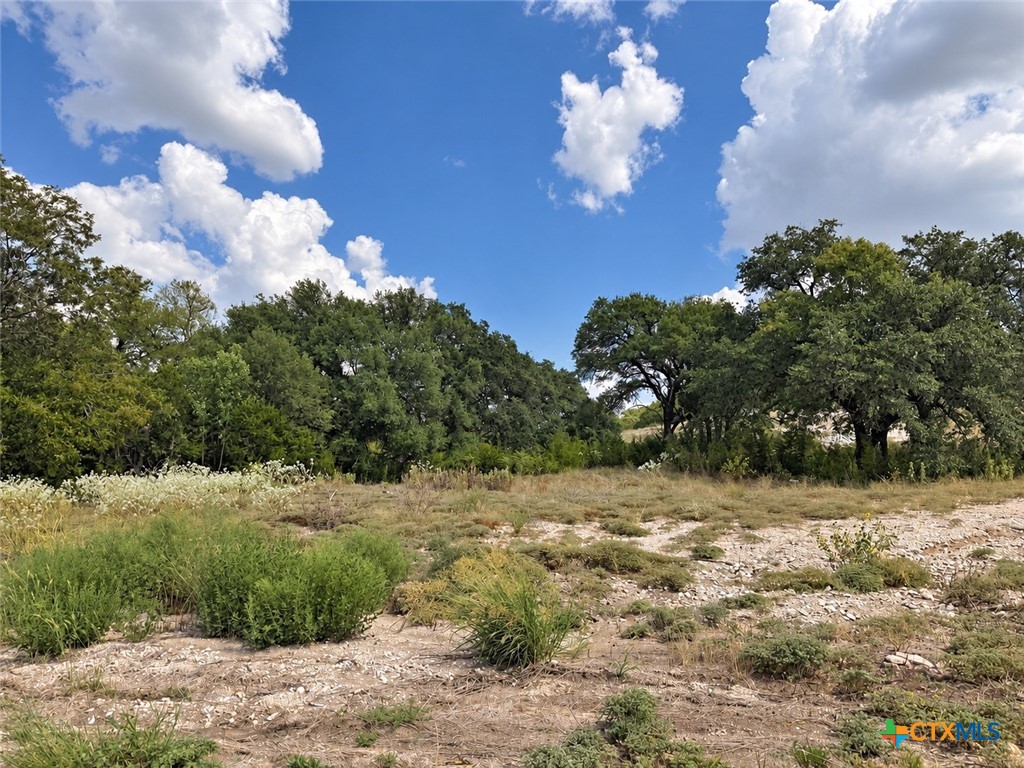 209 Lorhan Falls Property Photo 3
