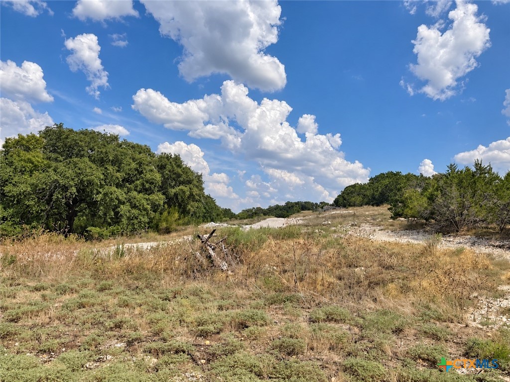 209 Lorhan Falls Property Photo 5
