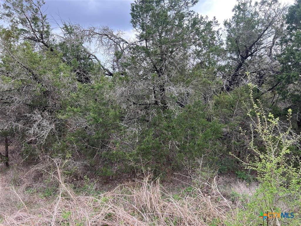 800 Fox Road Property Photo 1